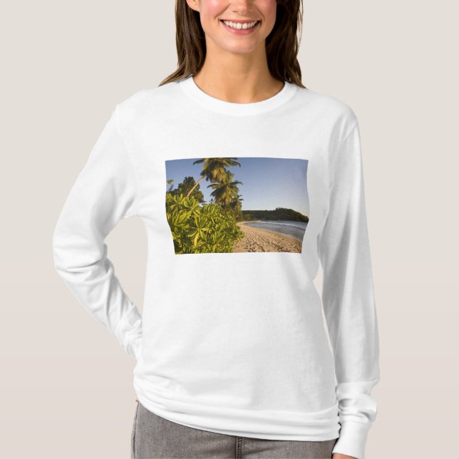Seychelles, Mahe Island, Anse Takamaka beach, T-Shirt (Front)
