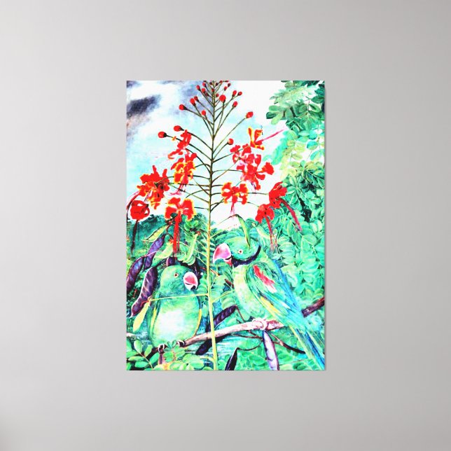 Seychelles Parakeet, Psittacula wardi Canvas Print (Front)