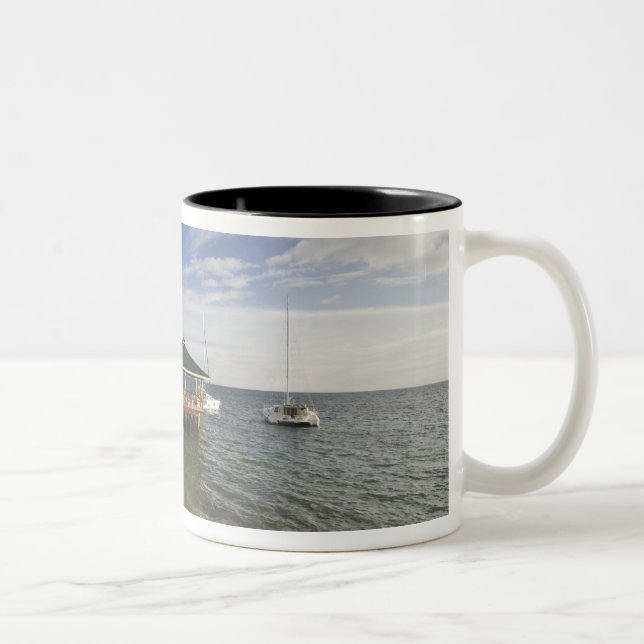 Seychelles, Praslin Island, Anse Bois de Rose, Two-Tone Coffee Mug (Right)