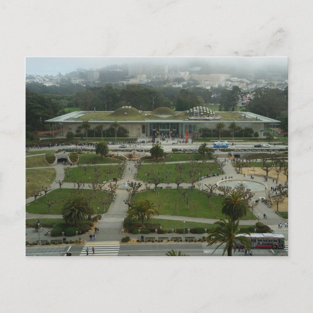SF California Academy of Sciences Postcard (Front)