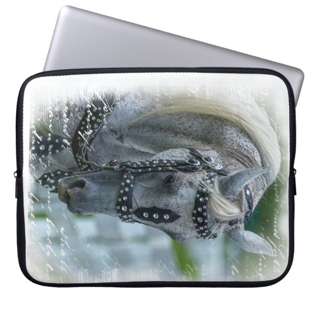 SG Dreams Laptop Sleveve Sleeve (Front)