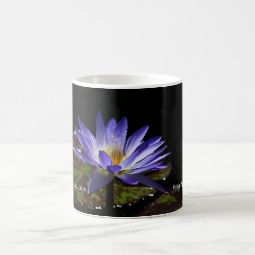 SG Star of Siam Tropical water lily Mug 1 2015