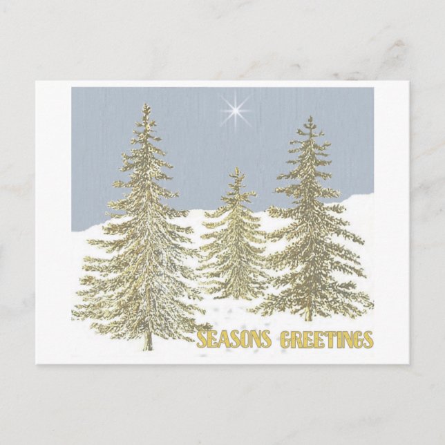 SG-Trees & Star Postcard (Front)