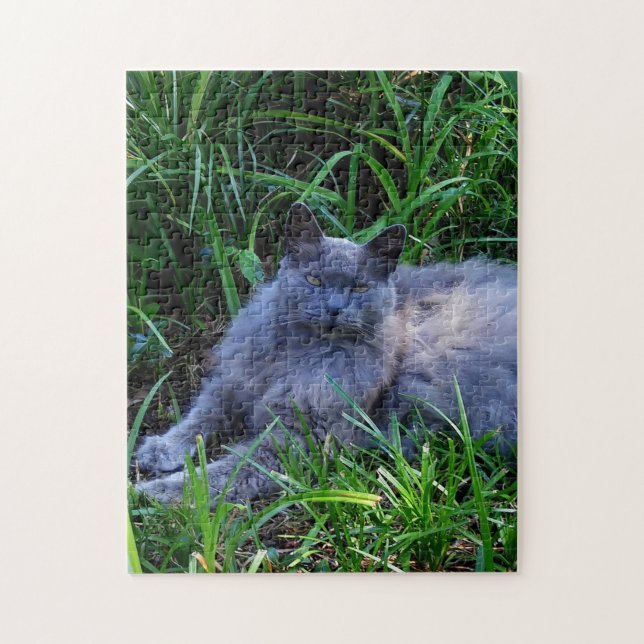 Sgolis Gray Maine Coon Cat Challenging Photo Jigsaw Puzzle (Vertical)