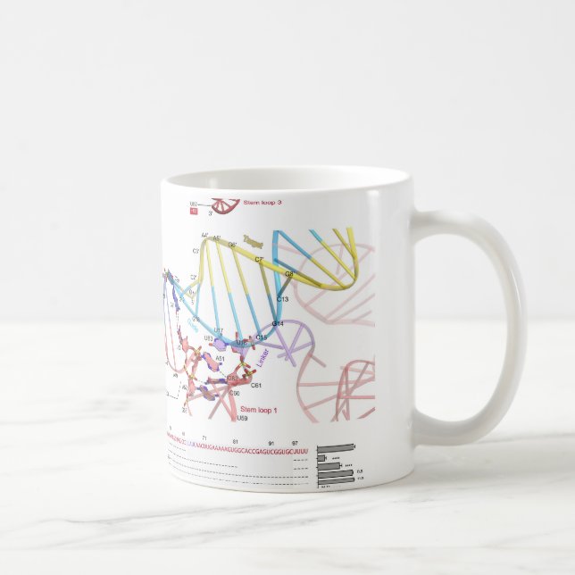 sgRNA and Its Target DNA Coffee Mug (Right)