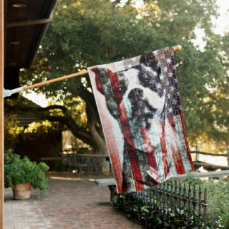 sgt. stubby american flag