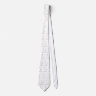 Shabbat Shalom tie