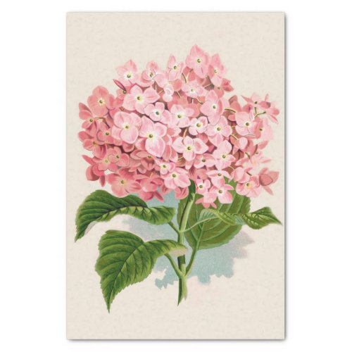 Shabby Chic Light Blush Coral Pink Flowers Tissue Paper