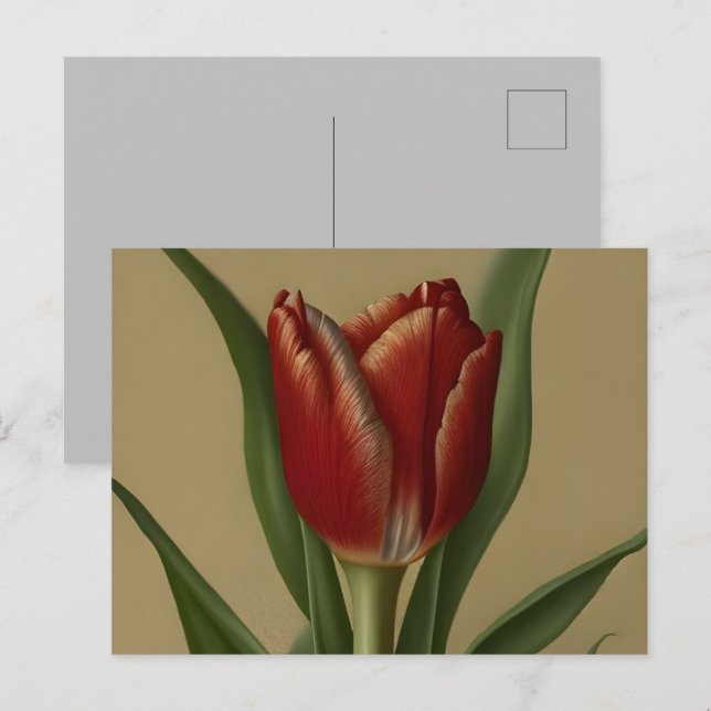 Shabby Chic Lovely  Red Tulip  Postcard (Front/Back)