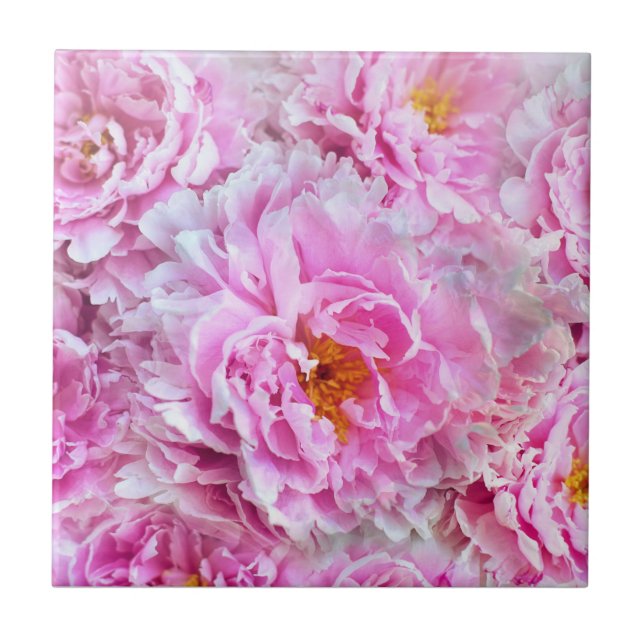 Shabby Chic Pink Pastel Pink Peonies Ceramic Tile (Front)
