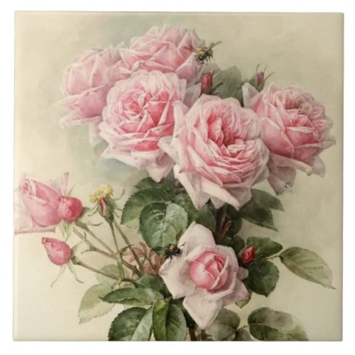 Shabby Chic Pink Victorian Roses Tile