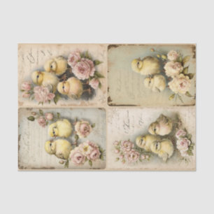 Shabby Chicks Tissue Paper