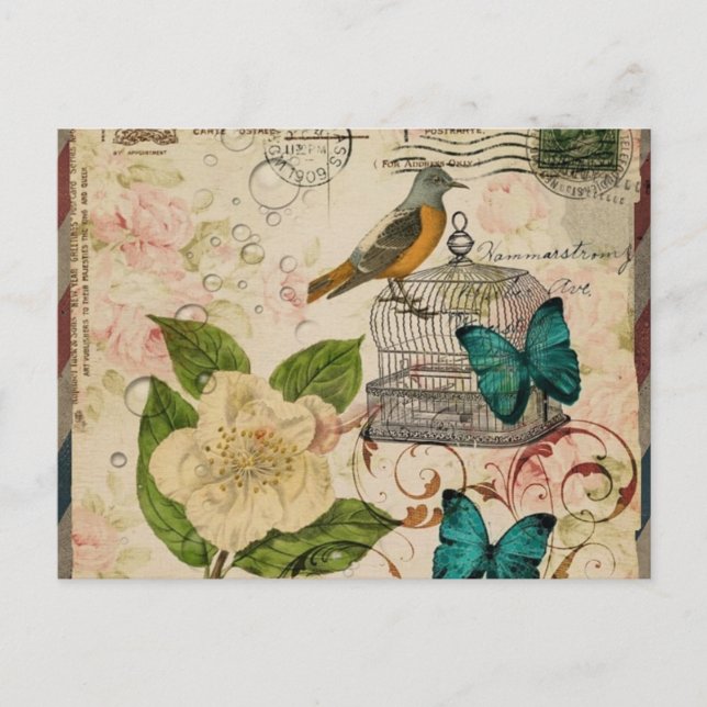 shabby elegance botanical bird french provincial postcard (Front)