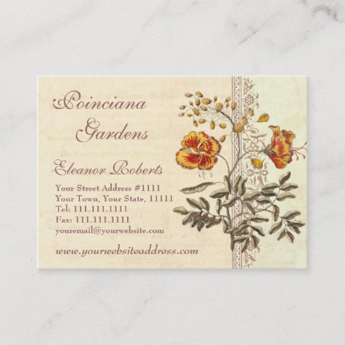 Shabby Elegance Vintage Poinciana Flowers Business Card