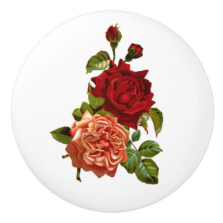 Shabby Vintage Peach and Red Roses Furniture Knobs