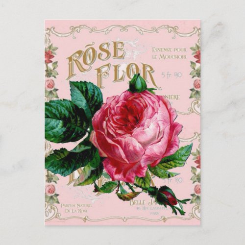 SHABBYCHIC English Rose vintage pink Postcard