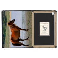 Shackleford Banks Horse iPad Mini Retina Covers