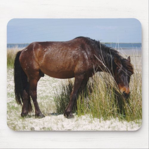 Shackleford Banks WIld Horse Grazing Mouse Pad