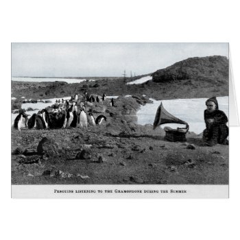 Shackleton In Antarctic Gramophone With Penguins by LiteraryLasts at Zazzle