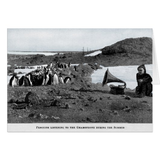 Shackleton in Antarctic Gramophone with Penguins Cards (Front Horizontal)