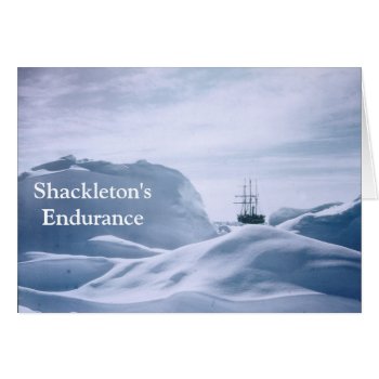 Shackleton's Endurance by LiteraryLasts at Zazzle