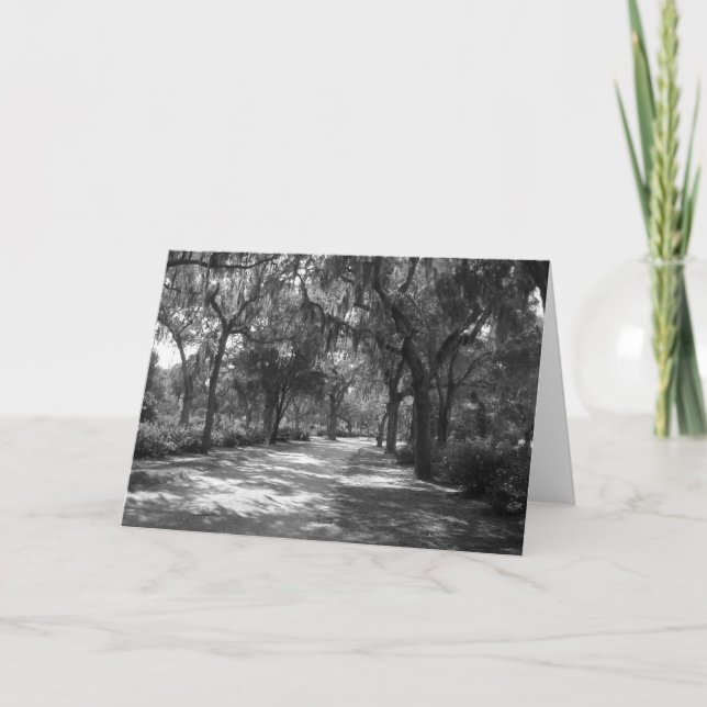 Shade 'neath Spanish Moss Card (Front)