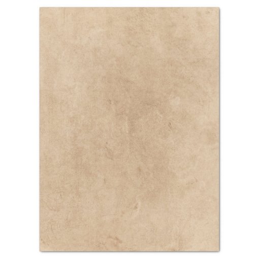 shade of beige tissue paper | Zazzle