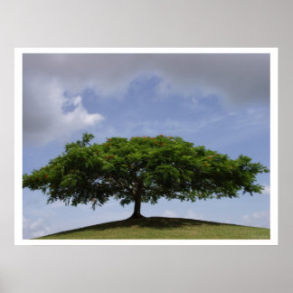 shade poster