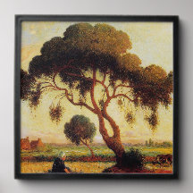 Shade Tree