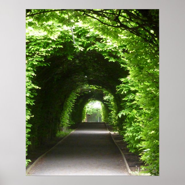 Shaded Botanic Garden Arbor Poster (Front)