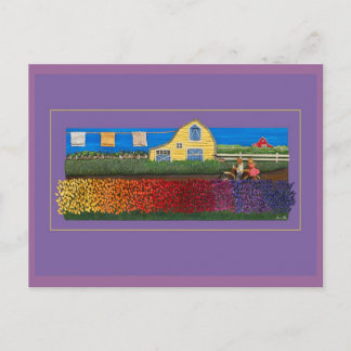 Shades Of All Postcard