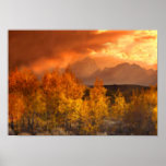 Shades Of Autumn Art Mural Poster