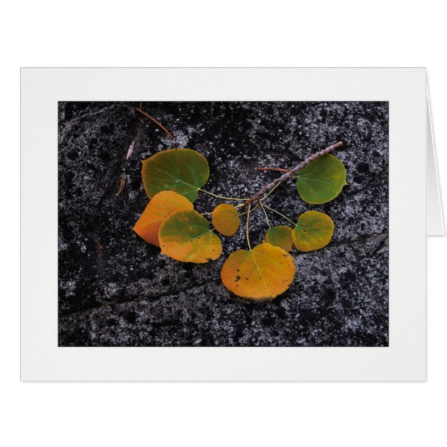 "Shades Of Autumn" Cards (Front Horizontal)
