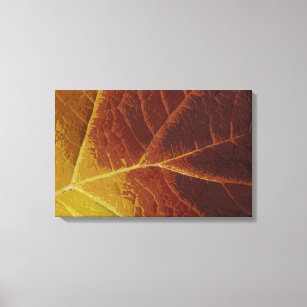 Shades of Autumn Leaf Canvas Print
