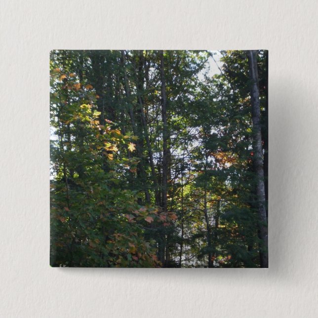 Shades of Autumn Trees Button (Front)