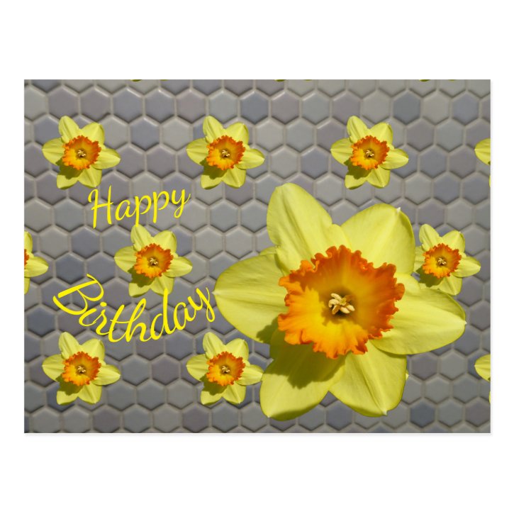 Shades of Blue Daffodils Cust. Birthday Postcard