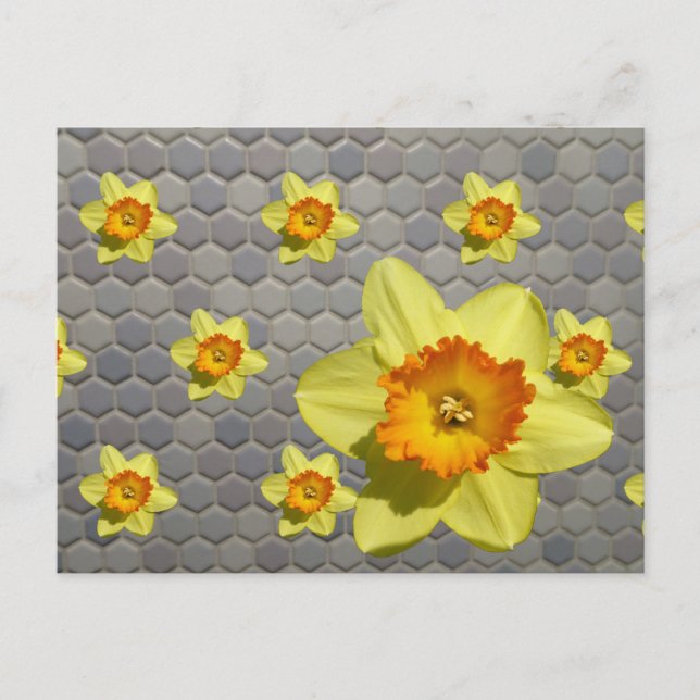 Shades of Blue Pattern Daffodils DIY Postcard (Front)