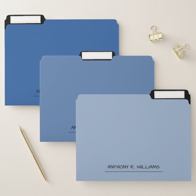 Shades of Blue Professional File Folder (Set)