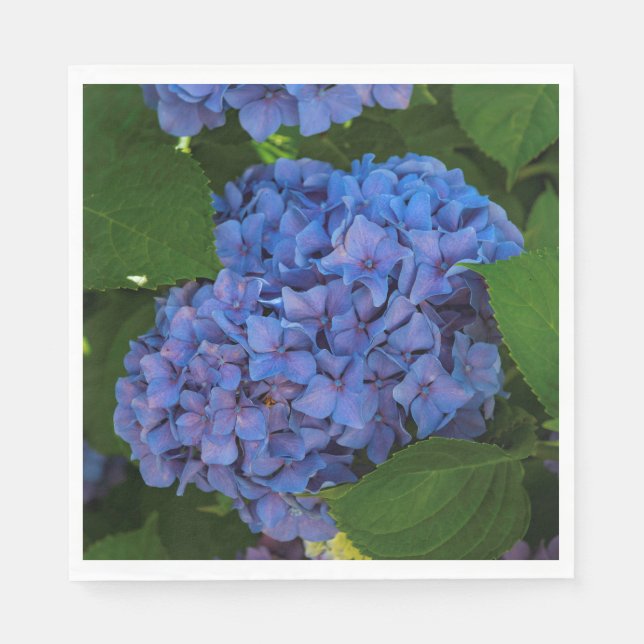 Shades Of Blue - The Blue Hydrangea Napkins (Front)
