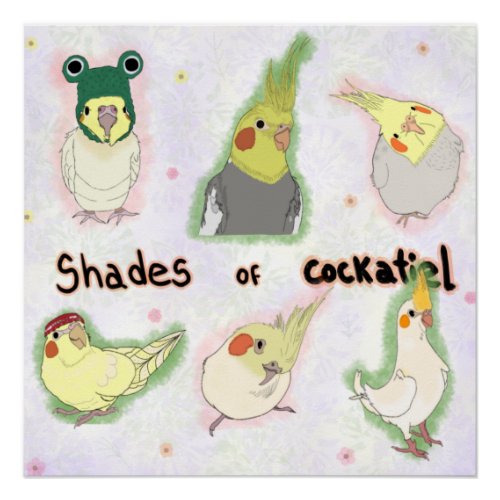 Shades of Cockatiel Poster