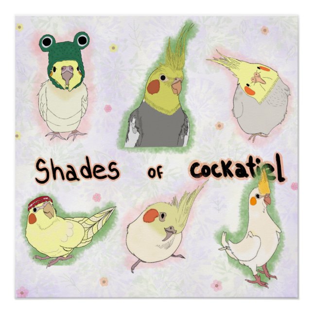 Shades of Cockatiel Poster (Front)
