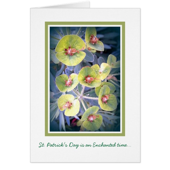 Shades of Green Greeting Card