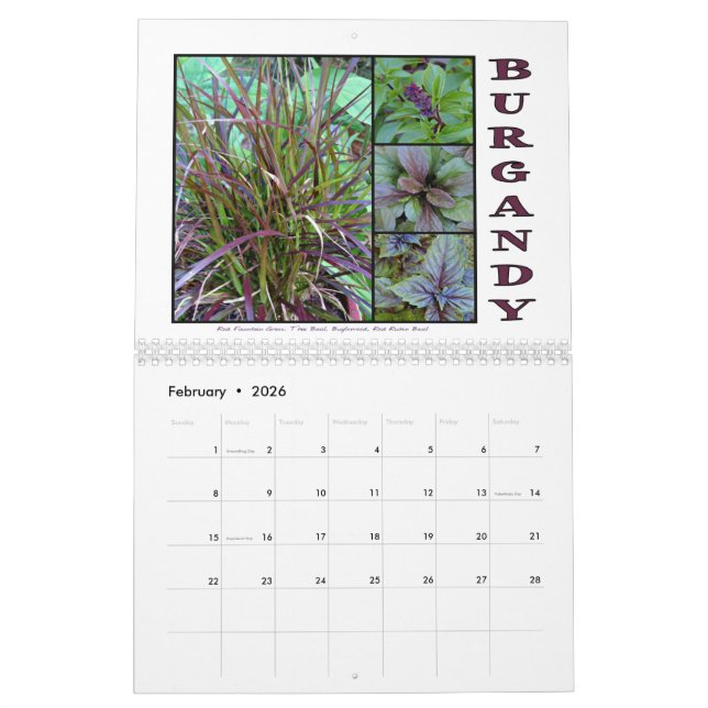 Shades of Nature Floral Collage Wall Calendar (Feb 2026)
