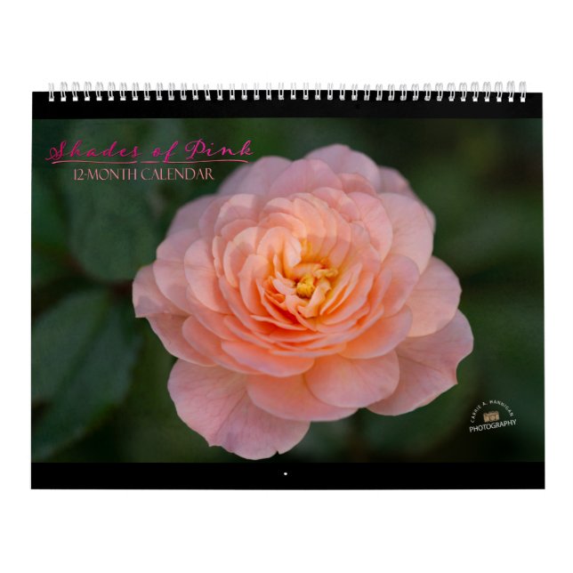 Shades of Pink 12-Month Calendar (Cover)