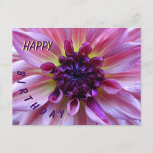 Shades of Purple Dahlia Happy Birthday Postcard
