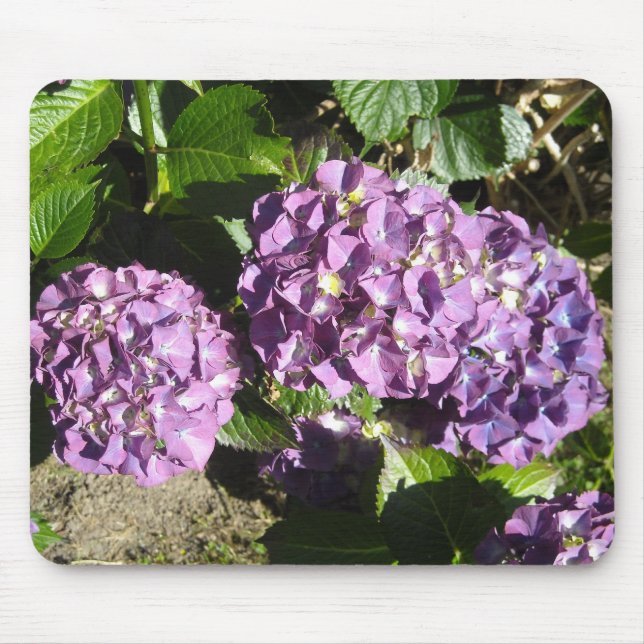 Shades of Purple Hydrangea Mouse Pad (Front)