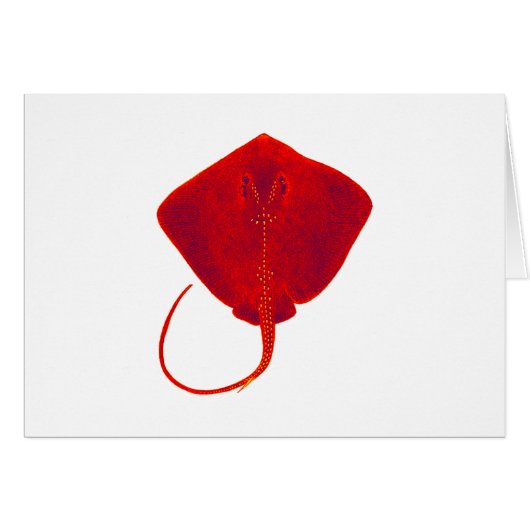 SHADES OF RED CARDS (Front Horizontal)