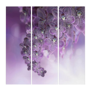 Shades of Violet Purple Orchids Triptych