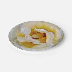 shades of white to yellow paper plates