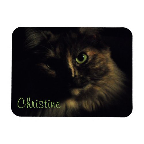 Shadow Cat Art Photography Green Eyes Kitty Magnet